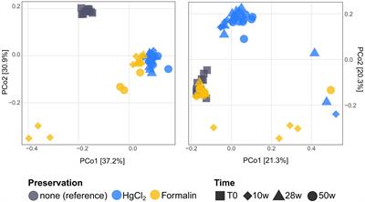 Impact of preservation method and storage period on ribosomal metabarcoding of marine microbes: Implications for remote automated samplings